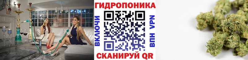 Где можно купить наркотики Ярославль кракен ONION A-PVP Мефедрон Конопля