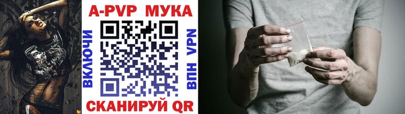 Альфа ПВП СК  Ярославль 