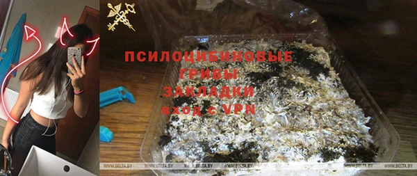 МДПВ Алзамай