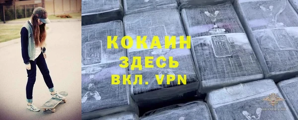 молекула духа Алексин