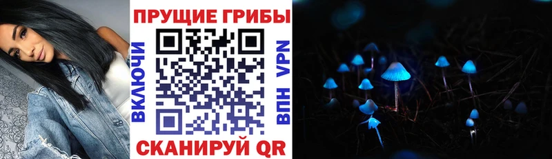 Псилоцибиновые грибы Magic Shrooms  где купить наркотик  Ярославль 